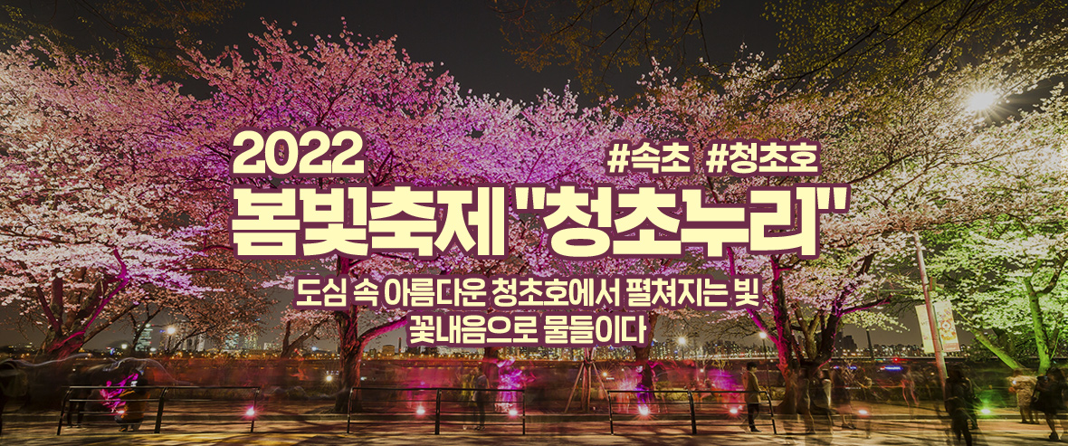 속초 봄빛 축제 '청초누리 봄빛정원' 2022